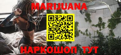 гашик Будённовск