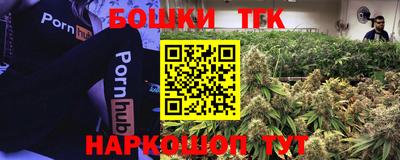 гашик Будённовск